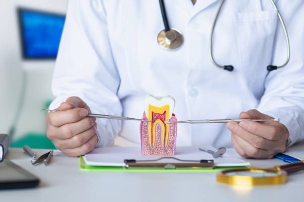 Best Emergency Root Canal Treatment in Anna, OH